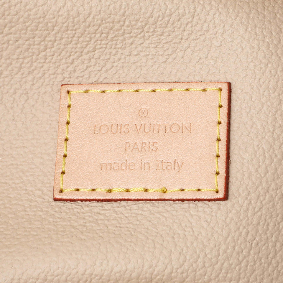 Louis Vuitton Monogram Nano Nice