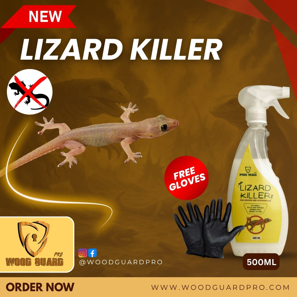 No Smell Lizard Killer Spray 500 ML (Free Gloves)