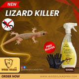 No Smell Lizard Killer Spray 500 ML (Free Gloves)
