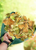 Leaf And Grass Grabber