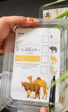 Eid-ul-Adha Special Meat Boxes – Hygienic, Ready-to-Distribute Packs