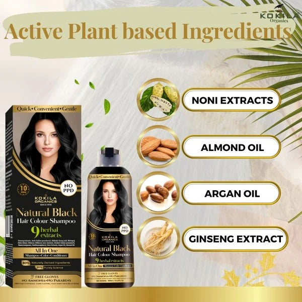🖤 Kokila NO PPD Shampoo Hair Colour – Natural Black | For Women &amp; Men