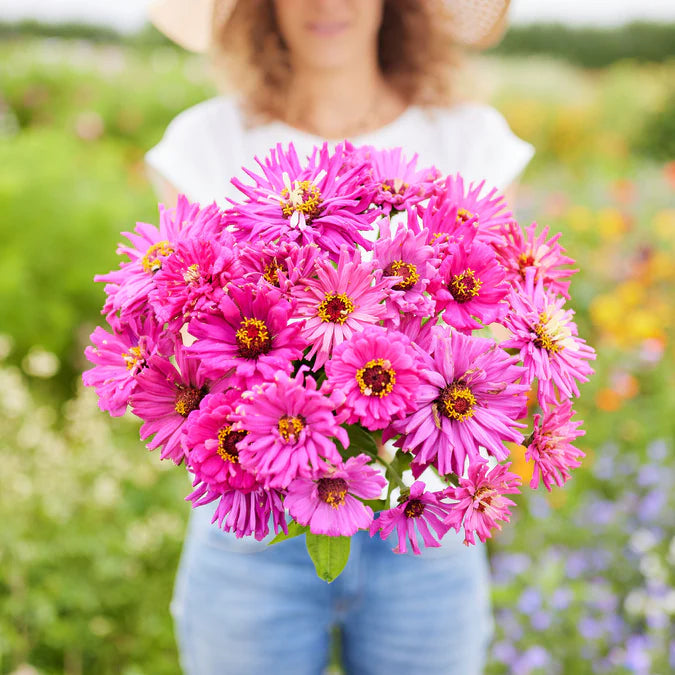Winter Flower Zinnia Super Seeds